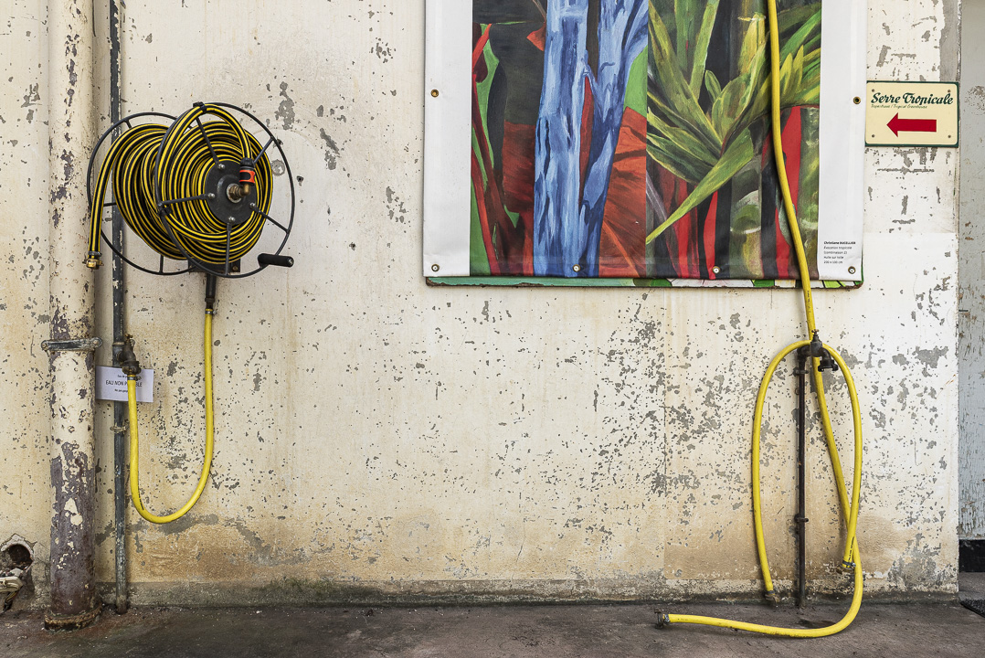 Wand an der eine Schlauchrolle mit aufgerollten Schlauch, ein buntes Pflanzenbild und ein gelber Schlauch hängt, Jacqueline Morgenroth Fotografie